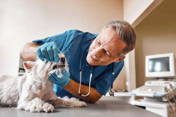 Best Broken or Cracked Tooth Emergency Dentist in Norwich, CT
